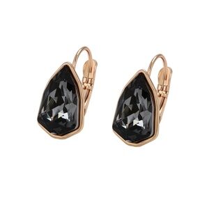✨ Last Pair – Swarovski Silvernight Crystal Earrings ✨